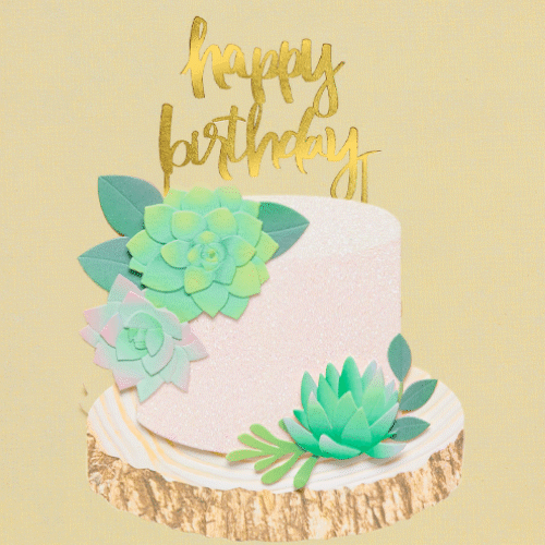 Succulent cake birthday greeting card gif
