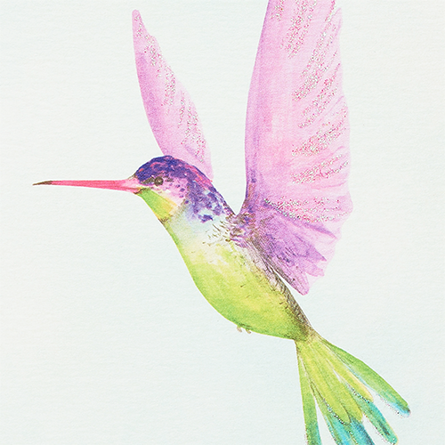 Hummingbird Wallpaper