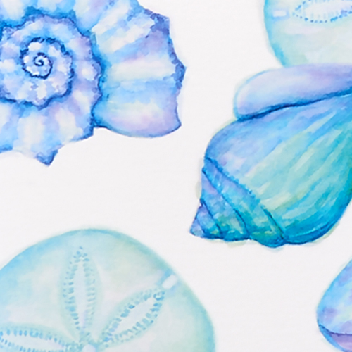 Seashell Wallpaper