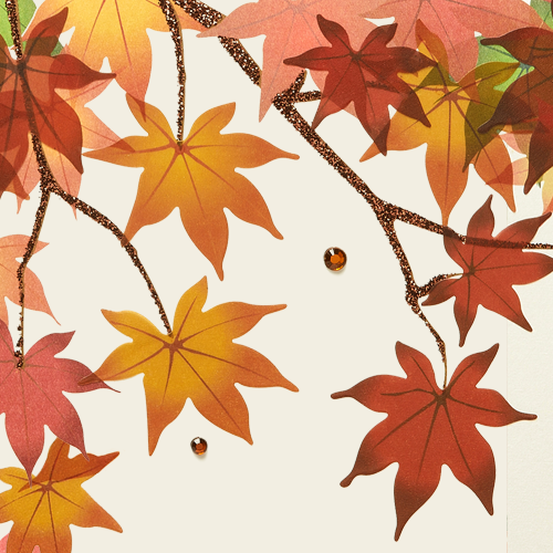 fall wallpaper 1 crop 1