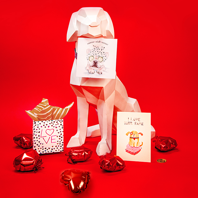 dog with Valentine's Day Cards