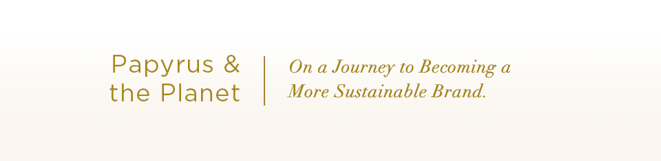 Papyrus & The Planet | On a Journey to Becoming a More Sustainable Brand.