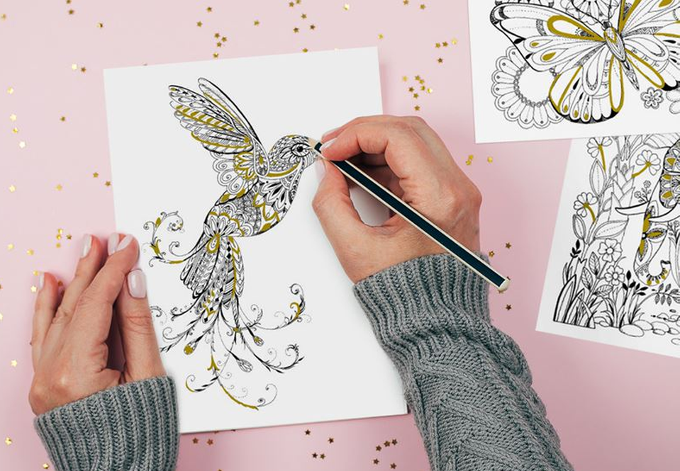 A person coloring in a hummingbird coloring page